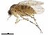  ( - BIOUG28591-H08)  @14 [ ] CreativeCommons - Attribution (2020) CBG Photography Group Centre for Biodiversity Genomics