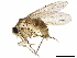  ( - BIOUG28594-F05)  @15 [ ] CreativeCommons - Attribution (2020) CBG Photography Group Centre for Biodiversity Genomics