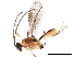  ( - BIOUG28819-F04)  @13 [ ] CreativeCommons - Attribution (2019) CBG Photography Group Centre for Biodiversity Genomics