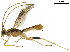  ( - BIOUG28817-F07)  @13 [ ] CreativeCommons - Attribution (2019) CBG Photography Group Centre for Biodiversity Genomics