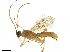  ( - BIOUG28821-H03)  @13 [ ] CreativeCommons - Attribution (2019) CBG Photography Group Centre for Biodiversity Genomics
