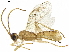  ( - BIOUG28821-H03)  @13 [ ] CreativeCommons - Attribution (2019) CBG Photography Group Centre for Biodiversity Genomics
