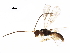  ( - BIOUG29192-F01)  @13 [ ] CreativeCommons - Attribution (2017) CBG Photography Group Centre for Biodiversity Genomics
