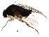  (Syneura - BIOUG29412-C07)  @14 [ ] CreativeCommons - Attribution (2016) CBG Photography Group Centre for Biodiversity Genomics