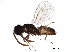  ( - BIOUG29465-E12)  @13 [ ] CreativeCommons - Attribution (2017) CBG Photography Group Centre for Biodiversity Genomics