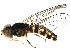  ( - BIOUG29632-B10)  @13 [ ] CreativeCommons - Attribution (2017) CBG Photography Group Centre for Biodiversity Genomics