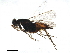  ( - BIOUG29671-E12)  @14 [ ] CreativeCommons - Attribution (2020) CBG Photography Group Centre for Biodiversity Genomics