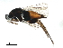  ( - BIOUG29663-H07)  @13 [ ] CreativeCommons - Attribution (2020) CBG Photography Group Centre for Biodiversity Genomics
