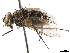  ( - BIOUG29670-G11)  @11 [ ] CreativeCommons - Attribution (2019) CBG Photography Group Centre for Biodiversity Genomics