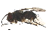  ( - BIOUG29615-D03)  @11 [ ] CreativeCommons - Attribution (2019) CBG Photography Group Centre for Biodiversity Genomics