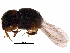  ( - BIOUG29716-F09)  @13 [ ] CreativeCommons - Attribution (2016) CBG Photography Group Centre for Biodiversity Genomics