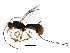  (Vanderentiellus - BIOUG29724-G05)  @14 [ ] CreativeCommons - Attribution (2016) CBG Photography Group Centre for Biodiversity Genomics