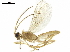  ( - BIOUG29725-E09)  @13 [ ] CreativeCommons - Attribution (2019) CBG Photography Group Centre for Biodiversity Genomics