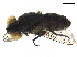  ( - BIOUG29726-B06)  @12 [ ] CreativeCommons - Attribution (2019) CBG Photography Group Centre for Biodiversity Genomics
