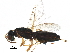 ( - BIOUG28668-E04)  @14 [ ] CreativeCommons - Attribution (2016) CBG Photography Group Centre for Biodiversity Genomics