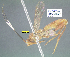  ( - BIOUG28676-D10)  @11 [ ] CreativeCommons Attribution NonCommercial ShareAlike (2021) M. J. Sharkey University of Kentucky