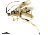  ( - BIOUG28804-H04)  @13 [ ] CreativeCommons - Attribution (2019) CBG Photography Group Centre for Biodiversity Genomics