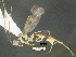  ( - BIOUG28804-H04)  @11 [ ] CreativeCommons Attribution NonCommercial ShareAlike (2021) M. J. Sharkey University of Kentucky