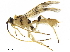  ( - BIOUG29019-B09)  @11 [ ] CreativeCommons - Attribution (2019) CBG Photography Group Centre for Biodiversity Genomics
