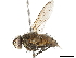 ( - BIOUG29392-B11)  @11 [ ] CreativeCommons - Attribution (2019) CBG Photography Group Centre for Biodiversity Genomics