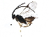  (Apanteles Malaise2892 - BIOUG29401-D05)  @14 [ ] CreativeCommons - Attribution (2016) CBG Photography Group Centre for Biodiversity Genomics
