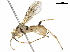  ( - BIOUG29438-C09)  @11 [ ] CreativeCommons - Attribution (2019) CBG Photography Group Centre for Biodiversity Genomics