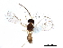  ( - BIOUG29585-C11)  @13 [ ] CreativeCommons - Attribution (2019) CBG Photography Group Centre for Biodiversity Genomics