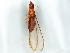  ( - BIOUG73617-G06)  @11 [ ] CreativeCommons - Attribution (2022) CBG Photography Group Centre for Biodiversity Genomics