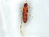  ( - BIOUG73617-G12)  @11 [ ] CreativeCommons - Attribution (2022) CBG Photography Group Centre for Biodiversity Genomics