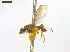  ( - JJM017)  @11 [ ] No Rights Reserved (2018) Unspecified AAFC