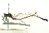  ( - BIOUG02482-D02)  @12 [ ] CreativeCommons - Attribution (2012) CBG Photography Group Centre for Biodiversity Genomics