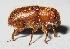  ( - JMCA-1027)  @11 [ ] CreativeCommons - Attribution (2016) Jim Moore Centre for Biodiversity Genomics