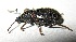  ( - JMCA-1058)  @11 [ ] CreativeCommons - Attribution (2016) Jim Moore Centre for Biodiversity Genomics