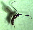  ( - 1.2-LM-43.1)  @11 [ ] CreativeCommons - Attribution Non-Commercial Share-Alike (2016) E. Villa-Galaviz University of Bristol