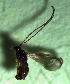  ( - 11.1-LM-26)  @11 [ ] CreativeCommons - Attribution Non-Commercial Share-Alike (2016) E. Villa-Galaviz University of Bristol