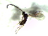  ( - 11.1-LM-29)  @11 [ ] CreativeCommons - Attribution Non-Commercial Share-Alike (2016) E. Villa-Galaviz University of Bristol
