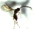  ( - 11.1-LM-29.1)  @11 [ ] CreativeCommons - Attribution Non-Commercial Share-Alike (2016) E. Villa-Galaviz University of Bristol