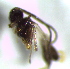 ( - 11.2-LM-47)  @11 [ ] CreativeCommons - Attribution Non-Commercial Share-Alike (2016) E. Villa-Galaviz University of Bristol