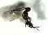  ( - 12.2-LM-03)  @11 [ ] CreativeCommons - Attribution Non-Commercial Share-Alike (2016) E. Villa-Galaviz University of Bristol