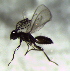  ( - 2.1-LM-31.1)  @11 [ ] CreativeCommons - Attribution Non-Commercial Share-Alike (2016) E. Villa-Galaviz University of Bristol