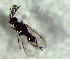  ( - 2.1-LM-45)  @11 [ ] CreativeCommons - Attribution Non-Commercial Share-Alike (2016) E. Villa-Galaviz University of Bristol