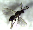  ( - 3.1-LM-41)  @11 [ ] CreativeCommons - Attribution Non-Commercial Share-Alike (2016) E. Villa-Galaviz University of Bristol