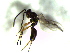  ( - 3.2-LM-18)  @11 [ ] CreativeCommons - Attribution Non-Commercial Share-Alike (2016) E. Villa-Galaviz University of Bristol