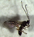  ( - 5.2-LM-130)  @12 [ ] CreativeCommons - Attribution Non-Commercial Share-Alike (2016) E. Villa-Galaviz University of Bristol