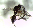  ( - 6.1-LM-22)  @11 [ ] CreativeCommons - Attribution Non-Commercial Share-Alike (2016) E. Villa-Galaviz University of Bristol