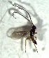 ( - 6.1-LM-62)  @11 [ ] CreativeCommons - Attribution Non-Commercial Share-Alike (2016) E. Villa-Galaviz University of Bristol