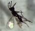  ( - 6.2-LM-68)  @11 [ ] CreativeCommons - Attribution Non-Commercial Share-Alike (2016) E. Villa-Galaviz University of Bristol
