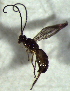  ( - 6.2-LM-94)  @11 [ ] CreativeCommons - Attribution Non-Commercial Share-Alike (2016) E. Villa-Galaviz University of Bristol
