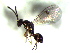  ( - 61.1-LM-06)  @11 [ ] CreativeCommons - Attribution Non-Commercial Share-Alike (2016) E. Villa-Galaviz University of Bristol