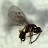  ( - 67.1-LM-23)  @11 [ ] CreativeCommons - Attribution Non-Commercial Share-Alike (2016) E. Villa-Galaviz University of Bristol